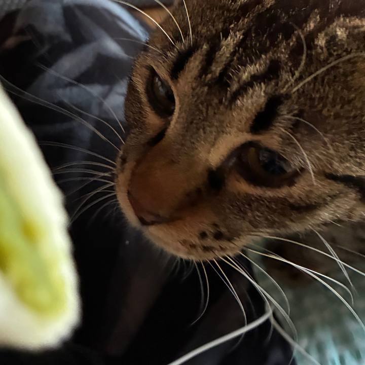 194b93e6 02ef 4357 9ecf 510163349679 1755508529517