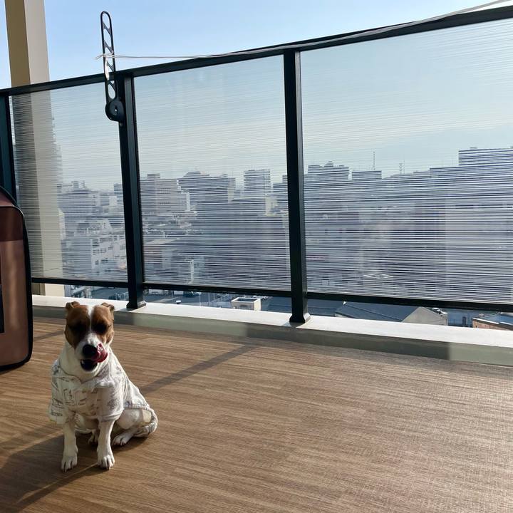 194ba322 6e61 464d afd9 e081a72a6ef9 1646866870895