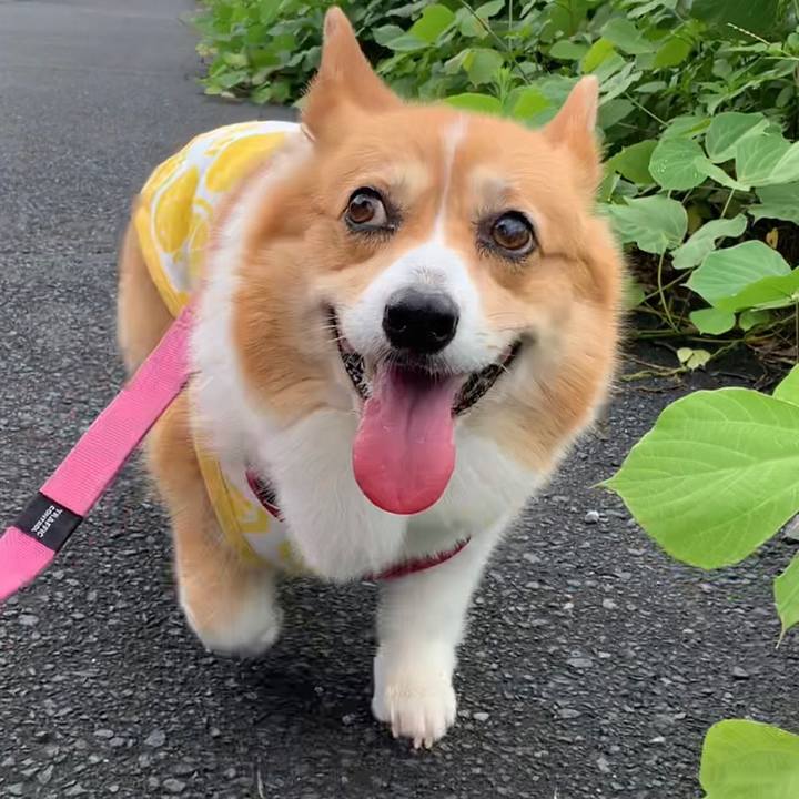 194bd5d8 9d54 4a05 b767 aea1e114a3fc 1657940536407