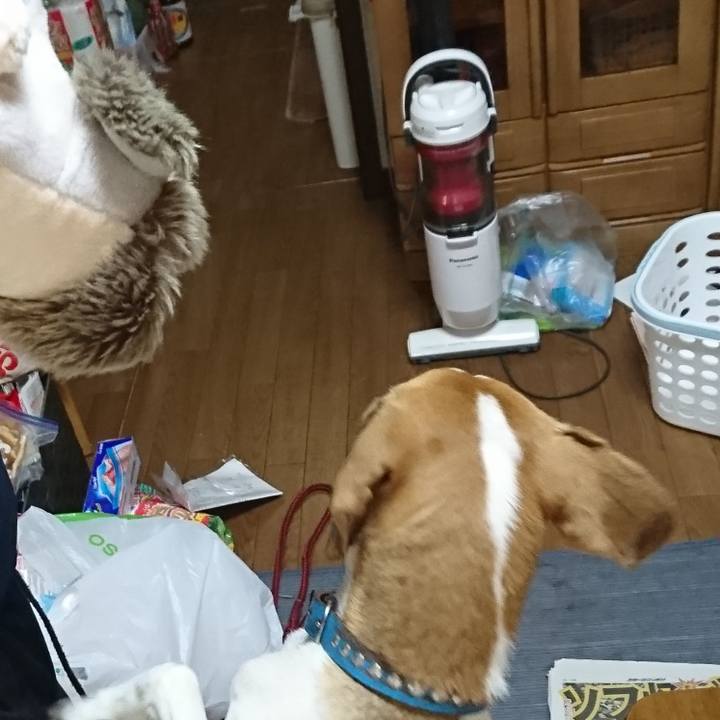 194c8686 e09b 406f 87bc aea81ddbcedc 1568361734295