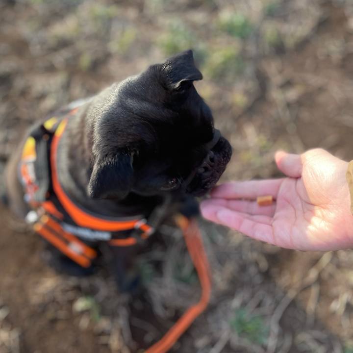 194c9394 a127 4d4e 9b7e 04359f064843 1616414011112