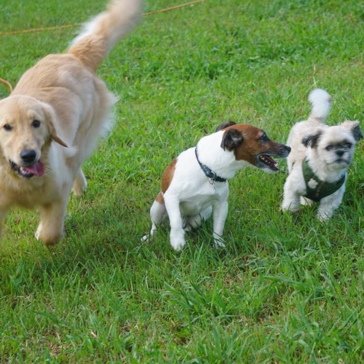 194cb2b3 8cb6 413f aef4 97a94b35d683 1599519540090