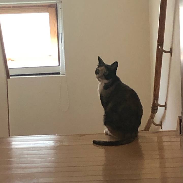 194cb784 f141 4402 b43a e8a2d6959919 1590494034583