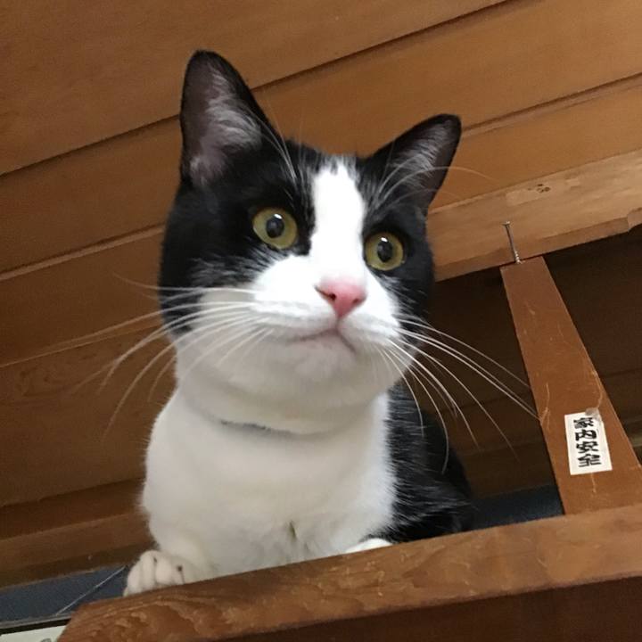 194cd254 224f 4117 b753 0131abcecdef 1673530435532