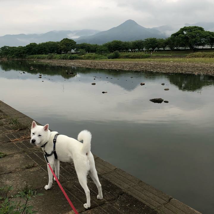 194d5abb fca4 42d1 af39 c060e67751b3 1559694504163