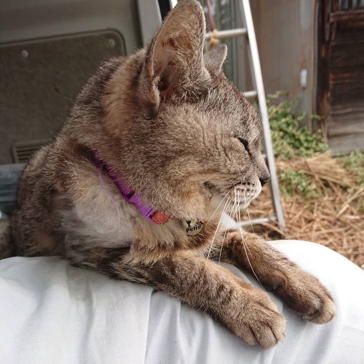 194d9a2e 2559 48a7 b68b 0482af6d7234 1591821203824