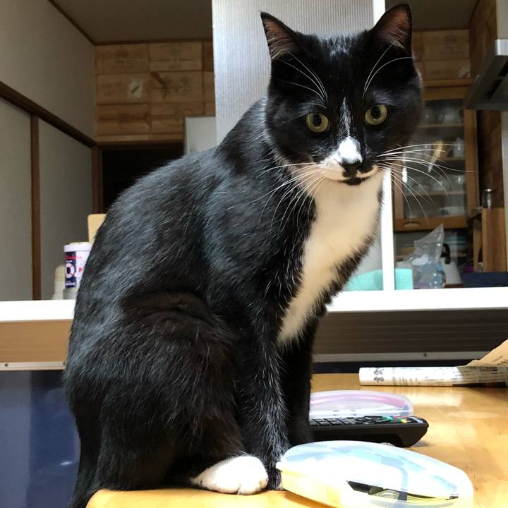 194e133a 3a97 42f6 a49e 977a29121ec8 1526356086507