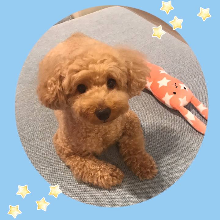 194e5031 da55 4e09 92c5 7830fb35abc4 1567604048747