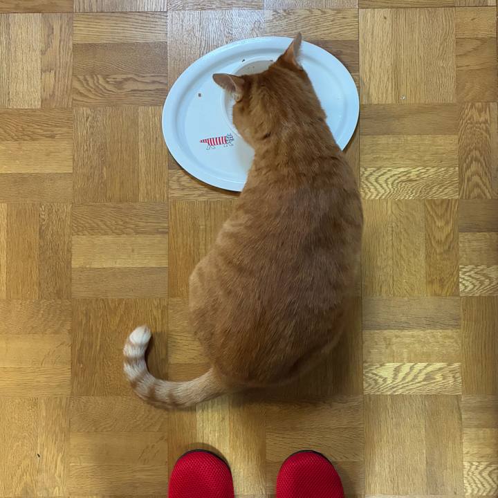 194e8f88 7234 400f 8890 cfacf372092c 1767176130344