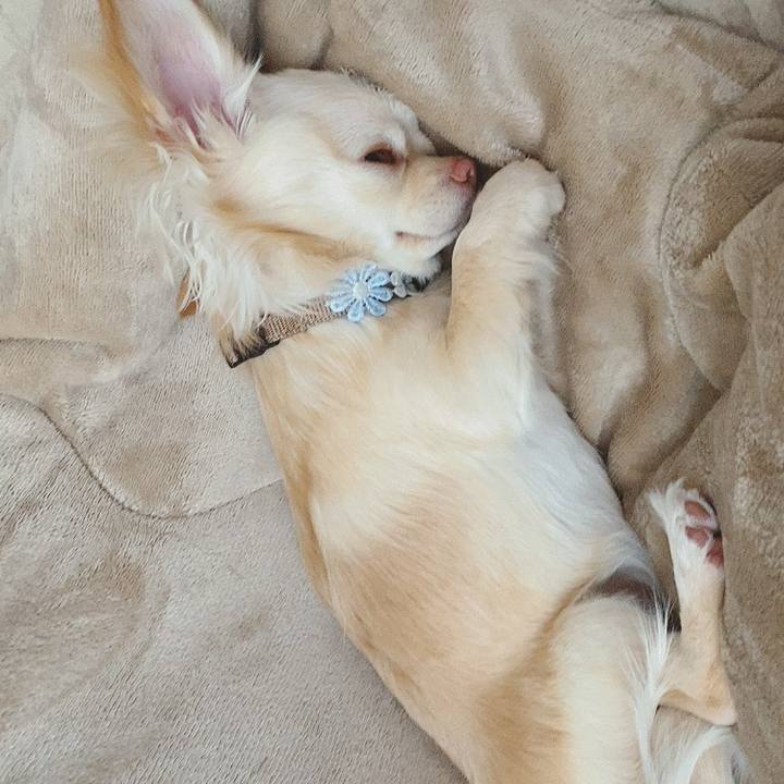 194ea14e 39fe 4fc4 a290 68694f65df62 1617833864939