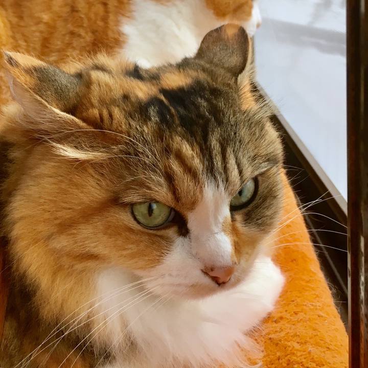 194eaa90 6a26 4c2e b656 ba47a6f66def 1563866822475