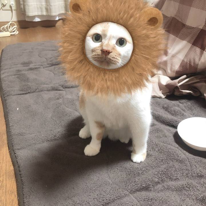 194ecba4 8a78 432f 8c3c 0987b257d4b6 1582524788162