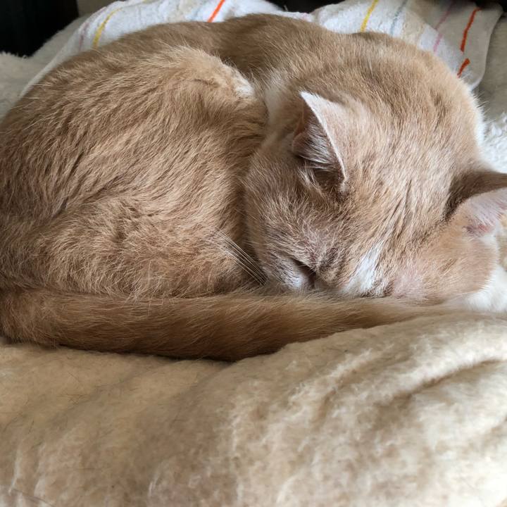 194ee5ce d157 476e bd62 beddbeeabff6 1534052550381