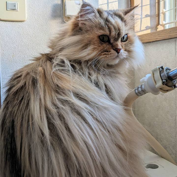 194ee9d9 ac54 4b35 b2fc 539f89fdaab5 1675814394705