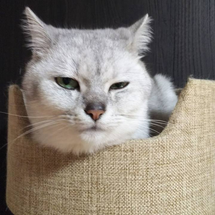 194f23ff 9f96 4386 b01a b8bef001fcc0 1513155004376