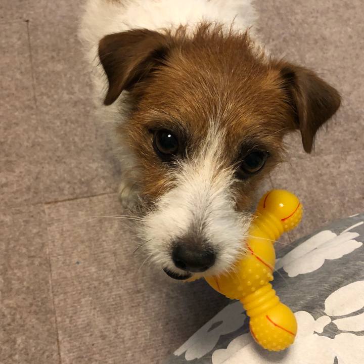 194f3035 016d 4f3b a0c9 ad396e18da0a 1572751687874