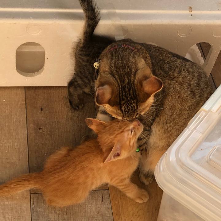 194f41fa 429e 4f02 b8b5 c5d6e71cf07e 1601602435090