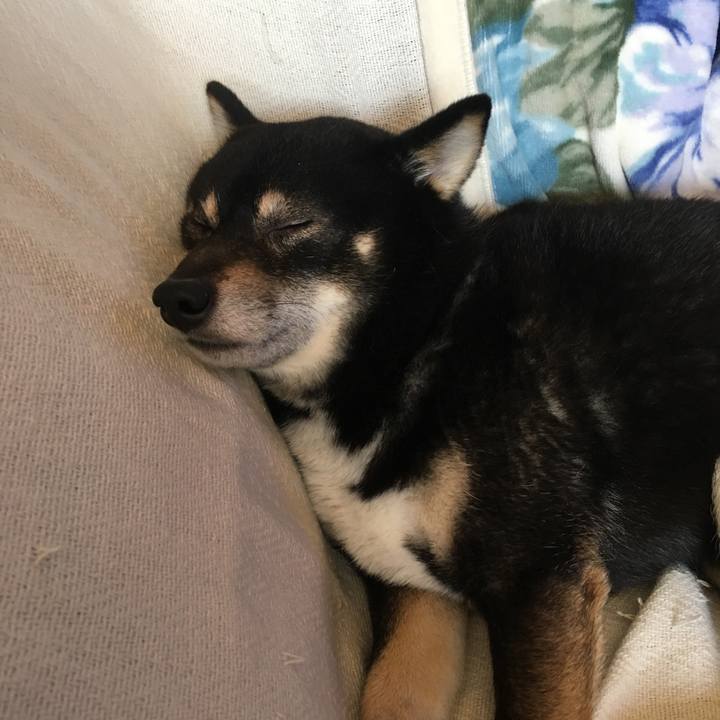 194fa5ae 1bdd 4b7d a197 79dedb98e894 1518760107191