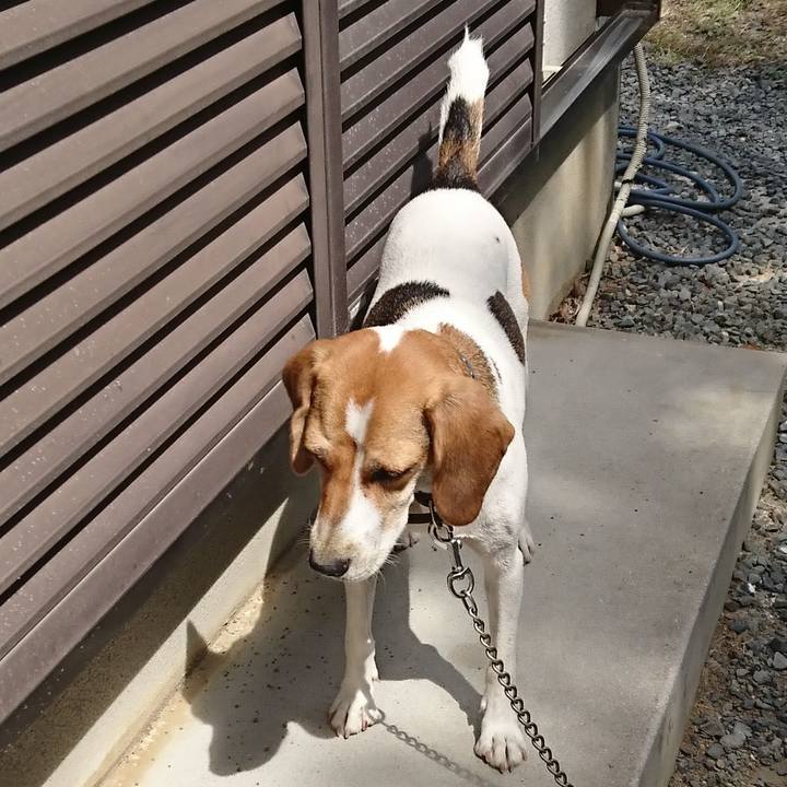 194fd2be bf7c 43cd 8218 a4966d9c14ed 1568780941665