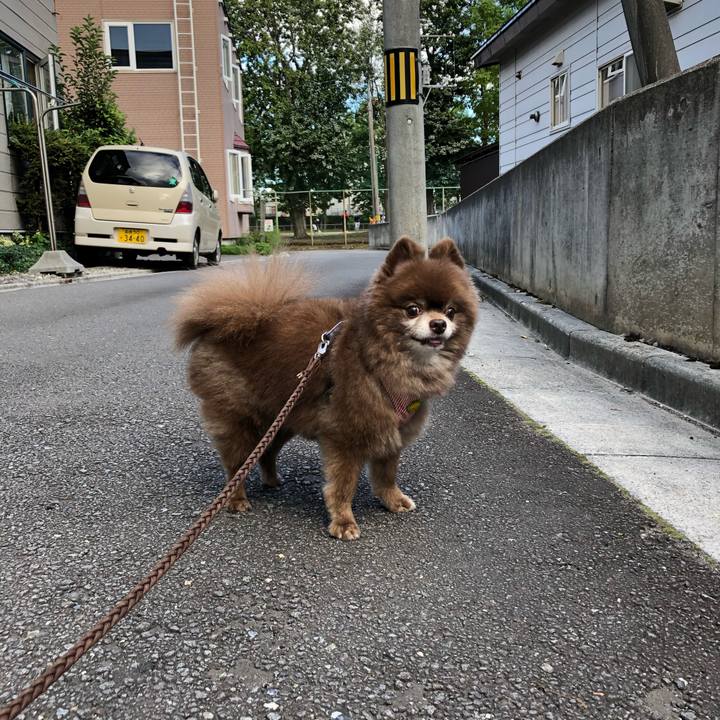 194fff70 9537 47b1 9286 6f158ef4dc38 1630127043784