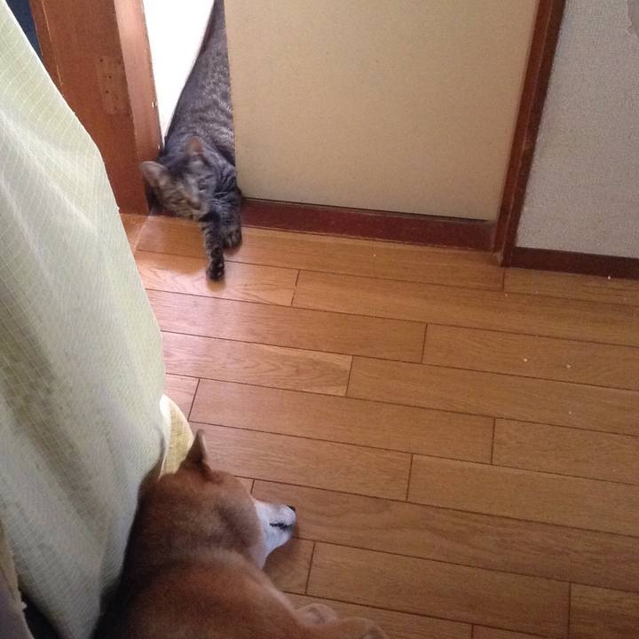 19500e15 d6f7 40ec b8e8 c4ad37383c89 1534125059150