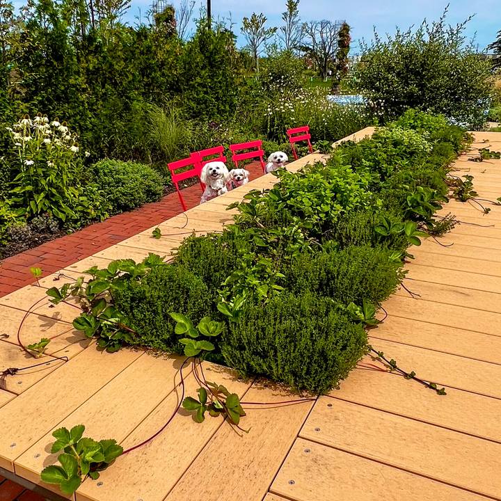 19501208 71d7 4b5f a235 285bf965cbe7 1663043855610