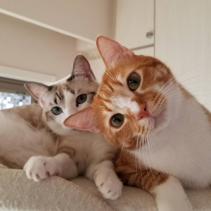 195012eb 8138 4f92 901c 0da536fd5a01 1513922489670