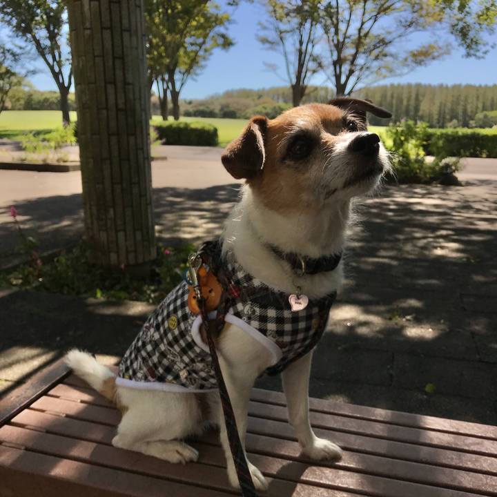 195030bf 96a9 4b6c ab43 929724257b8e 1570938085168