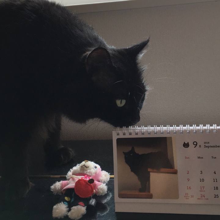 19504473 b0a9 4cea 9f2d 61f362f02309 1535759560287