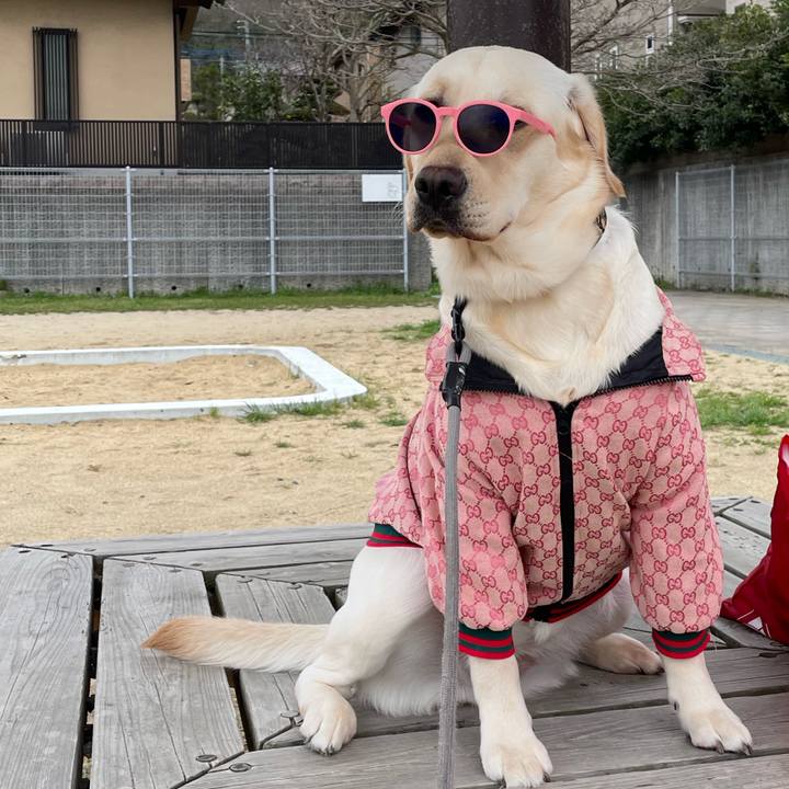 1950a05d e409 47f4 85bc cab4c846dcf4 1647844662222