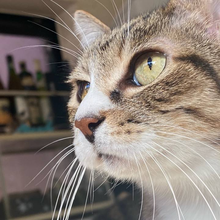 1950b7d0 b36d 4d0a b456 7038e76b7c79 1643587967138