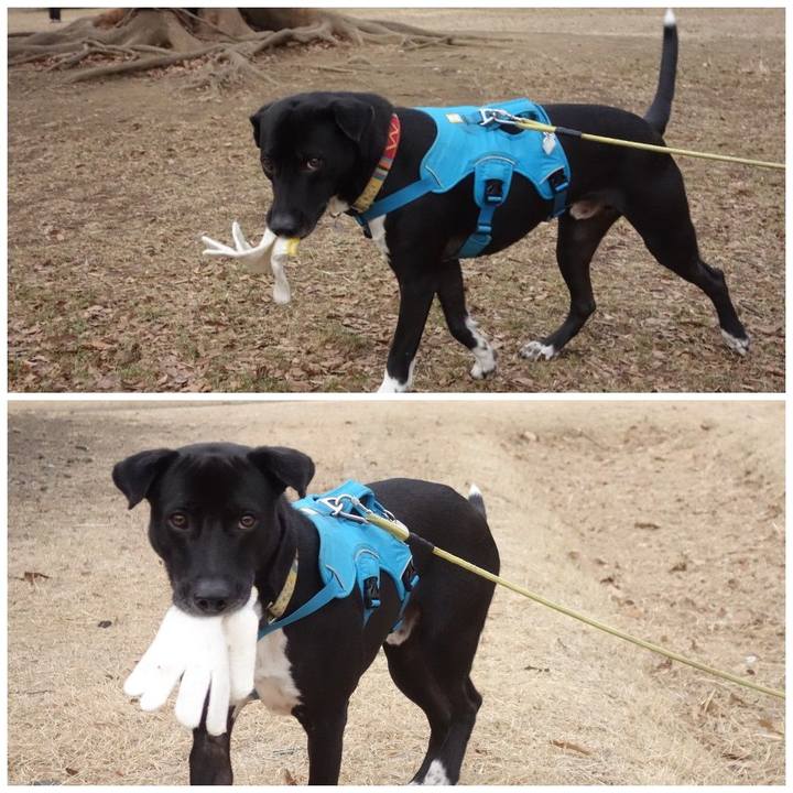 195103e1 0f1c 4542 af89 fb0e97ff11e7 1610842325568