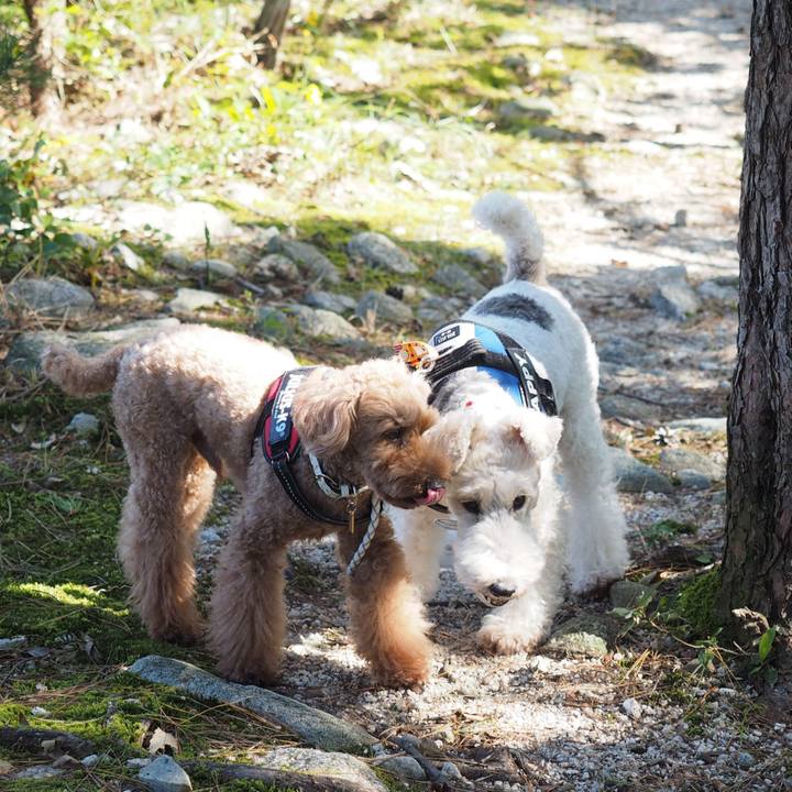 195104f8 7fb5 4b91 a049 e7671b310007 1572874142722