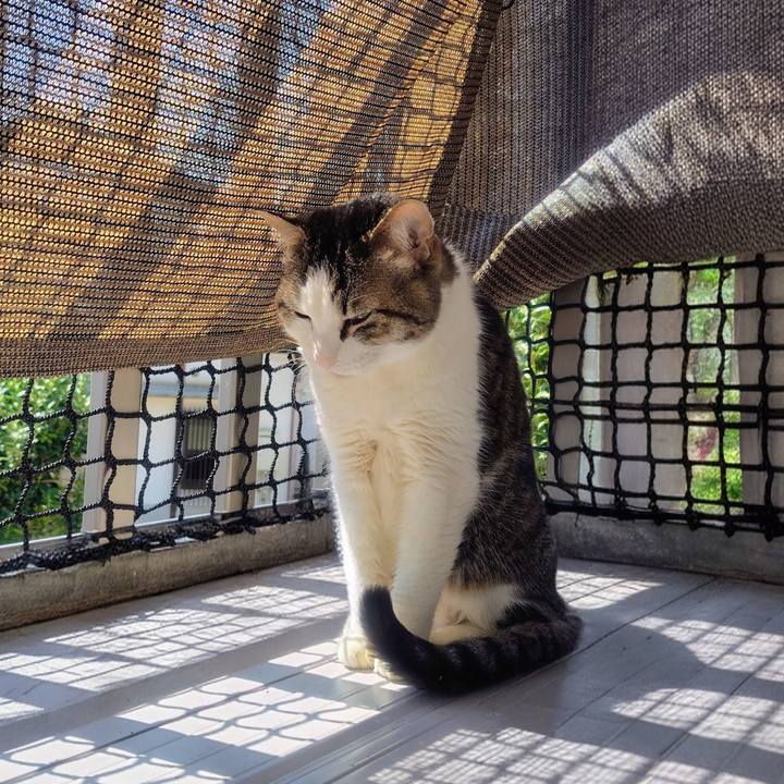 19510826 9cc8 4173 aeaf eaf053689ae0 1773027414878