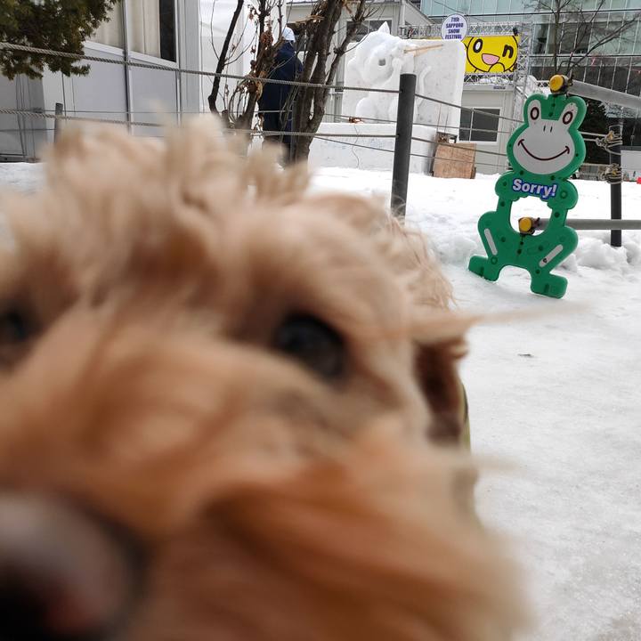 19513f14 73db 4fc8 823c 6c64b2987276 1580517628915