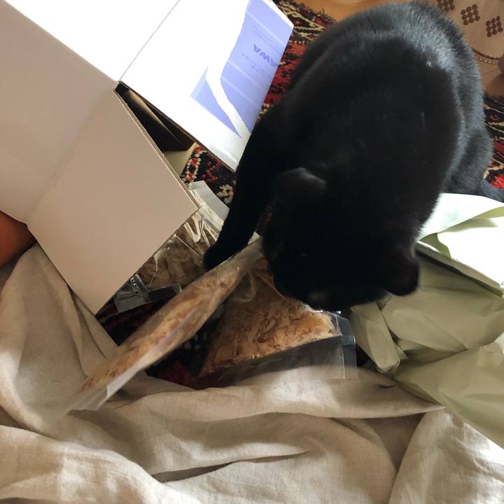 19514447 40eb 4f58 81a7 fd929da8bfb3 1561258666024