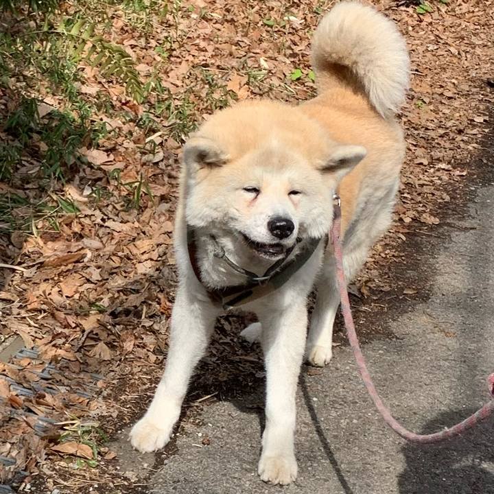 195190fe 2c1a 4510 817e fe17ddda4a8a 1646633218399