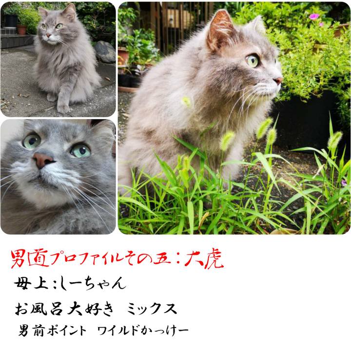 19519bd8 8b50 4b61 b9f4 7e2cdfb00008 1566134863003