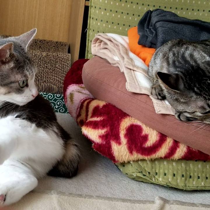 1951b670 d828 4654 a02d d64e076ca1c8 1677110156196