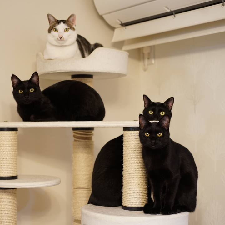 1951d1a7 318c 4f1d 82a3 9043c79ef556 1517062368062