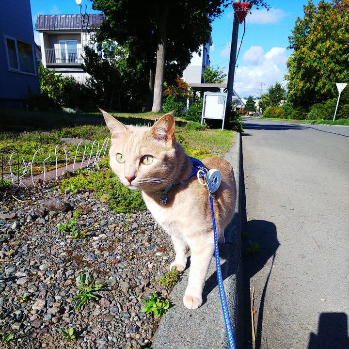 19523b2e e9cb 40a2 90ee d8bda3e7ed56 1630391377381