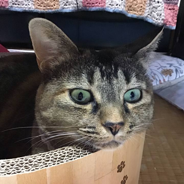 1952444e 625c 49b0 a63b c659d7cb5683 1721807451411