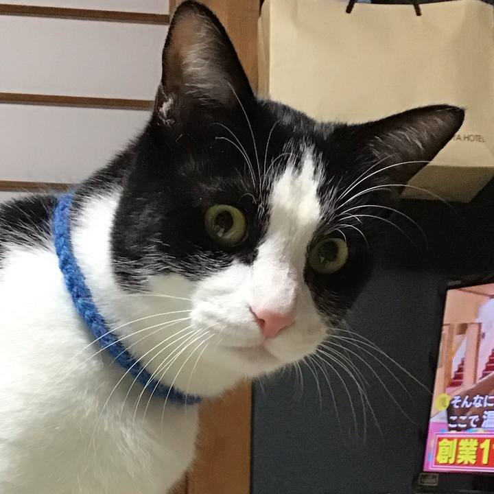 19525100 5458 4442 abd7 798542233d90 1702208125180