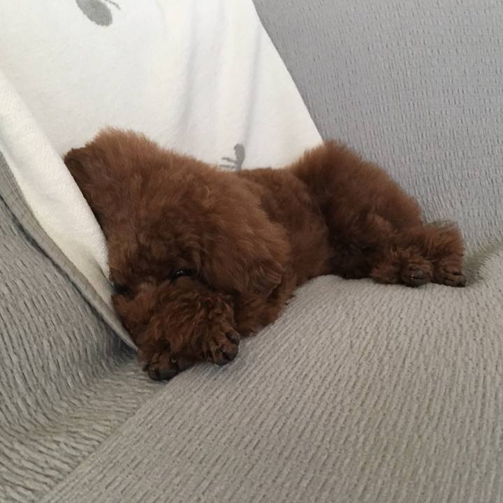 1952697a 4f9e 4b5e 9f61 f561f0902c88 1525650060940