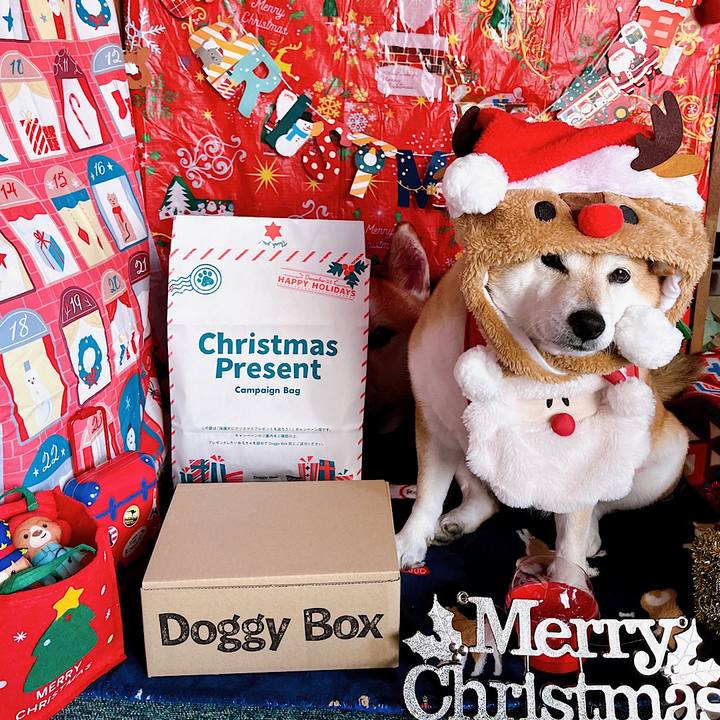 19529d69 9d45 444b 961a 0a2e31fddd71 1670902596781