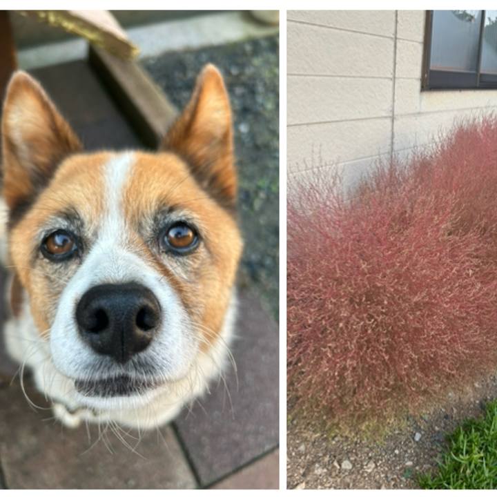 1952c75d 298f 4543 96b4 8473f7338def 1759527310885