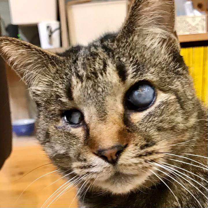 1952cedf 4eed 49ae 8579 de8aaaa20f0c 1618493032228