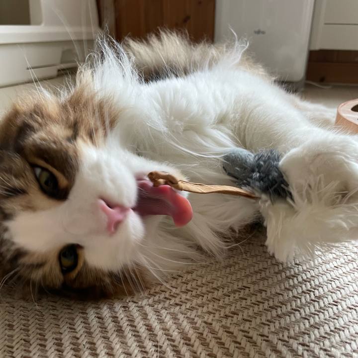 1952f357 84f3 4245 806b a1e39efe2415 1657662593267