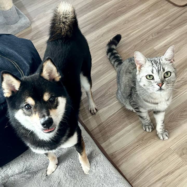 1953964b 1a5e 47ce 8a7a b77b5774bb1a 1687071089228