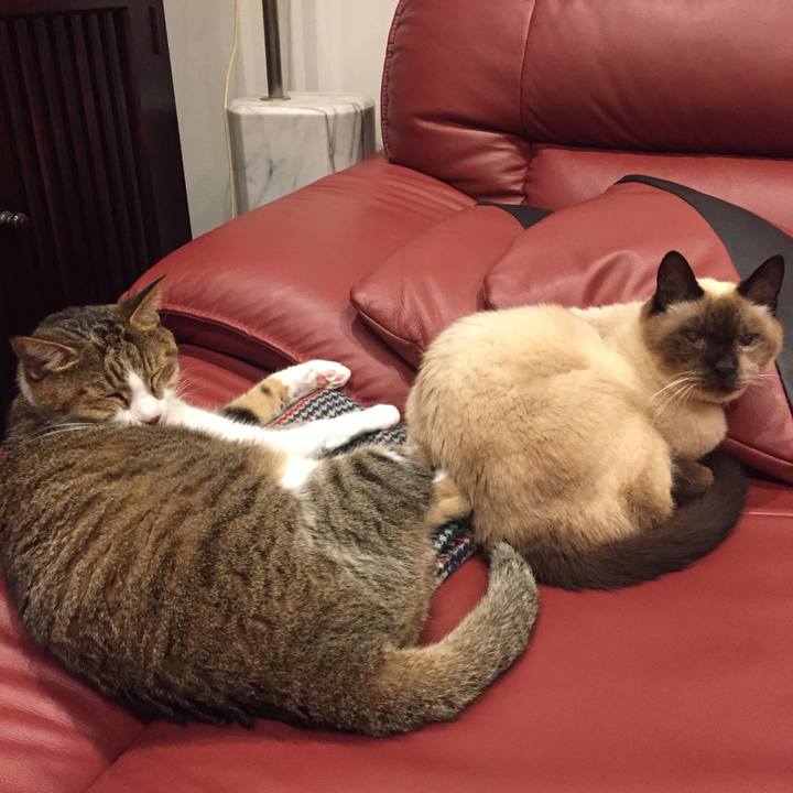 1953cc1b 5706 48f1 9548 b308659109a7 1510095354192